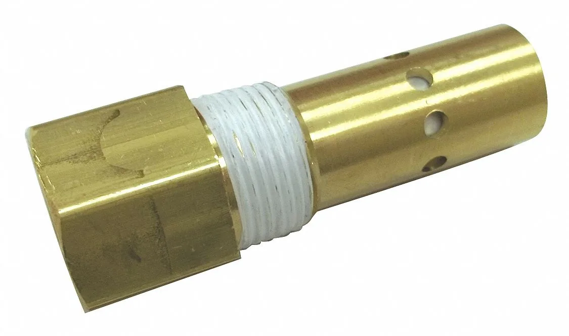 Brass check valve with 3/4 inch threaded ends