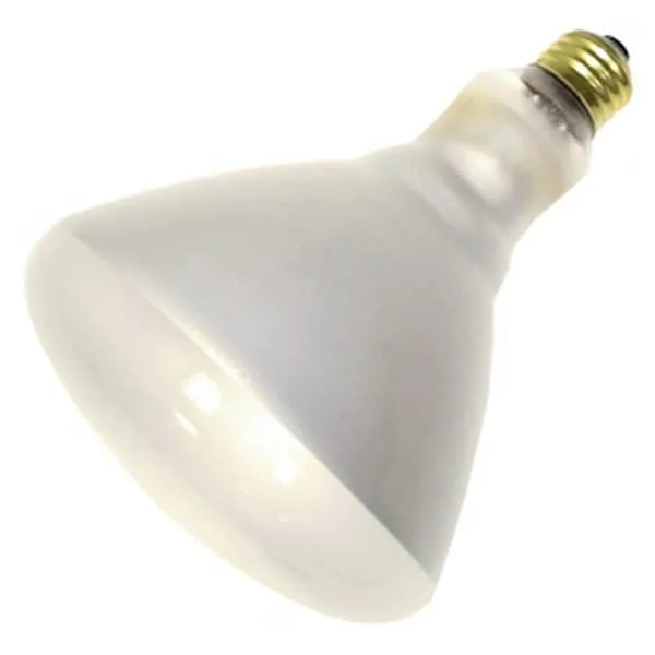 Large frosted glass BR40 flood bulb with medium screw base