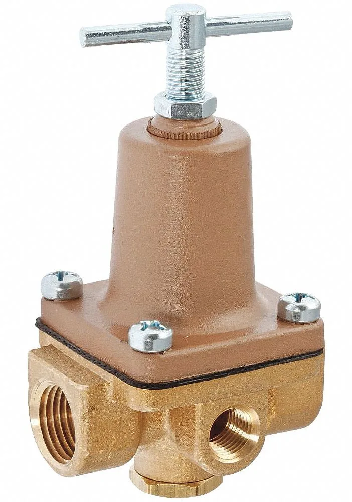 Watts Watts 1/4 LF263A 10-125 psi Water Pressure Regulator Trap — product photo