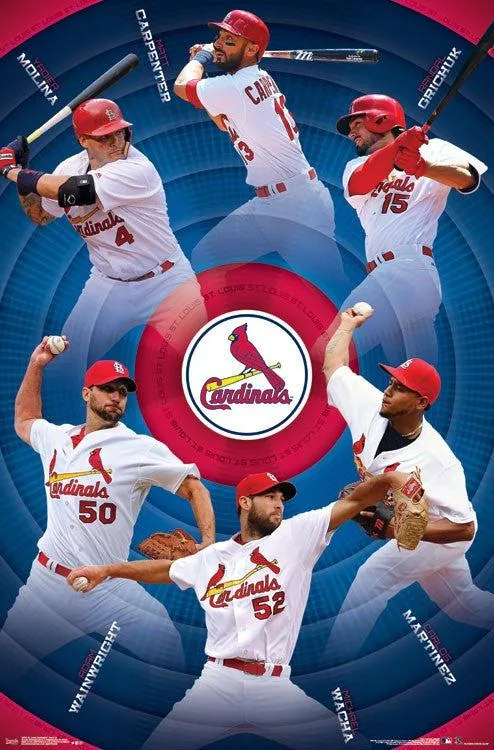 St. Louis Cardinals team poster print 22 x 34 inches