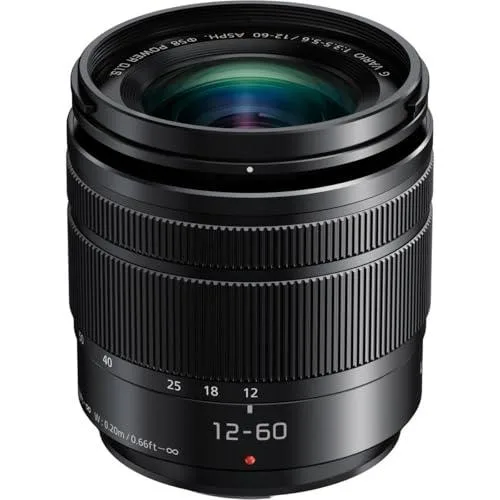 Panasonic Panasonic Lumix G Vario 12-60mm f/3.5-5.6 ASPH. POWER O.I.S. Camcorder Lens — product photo