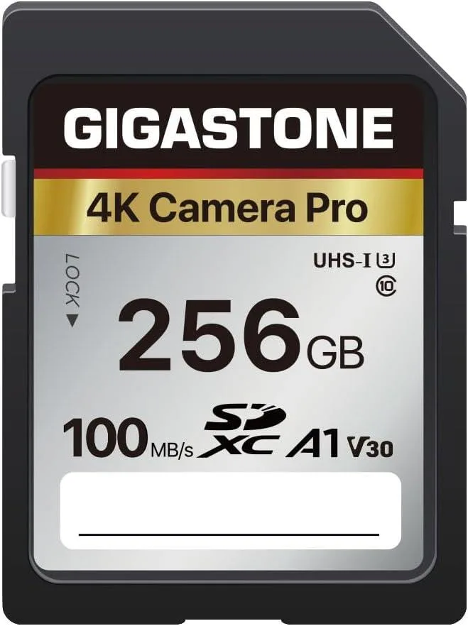 Gigastone Corporation Gigastone Corporation 256GB SDXC 4K Camera Pro memory card — product photo