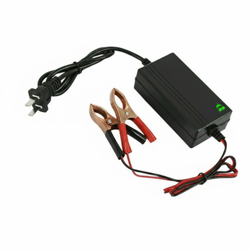 The Perfect Part The Perfect Part 12V/2A battery charger 10A 12V 110-240V — product photo
