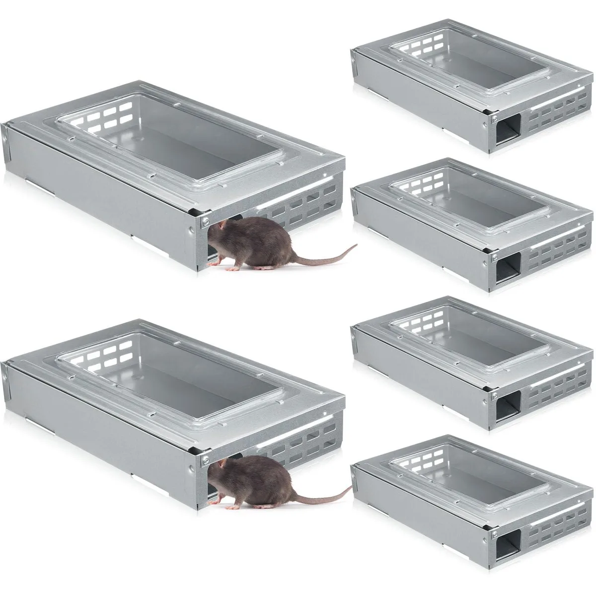 Silver metal live-catch mouse trap, 26 x 16 x 5 cm, clear top window