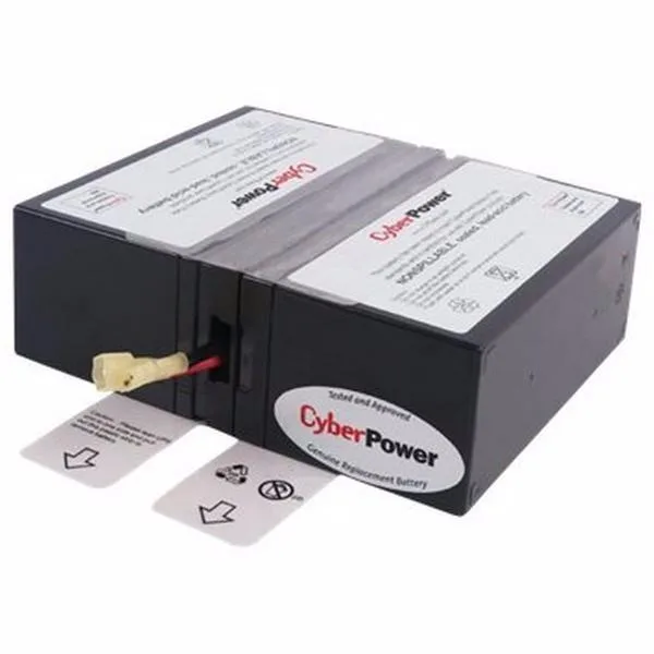 Two sealed lead-acid batteries in a black plastic housing