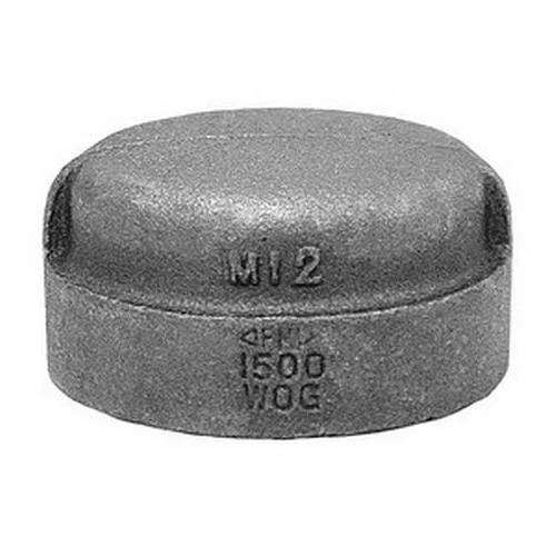 Anvil Anvil 0318900842 Malleable Iron Cap Class 150 Trap — product photo