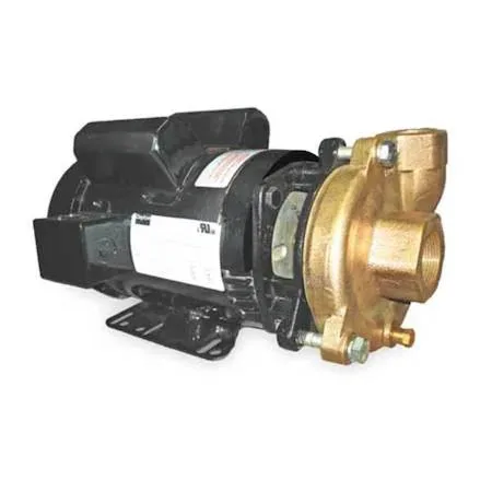 Bronze centrifugal pump with TEFC motor, 230V AC