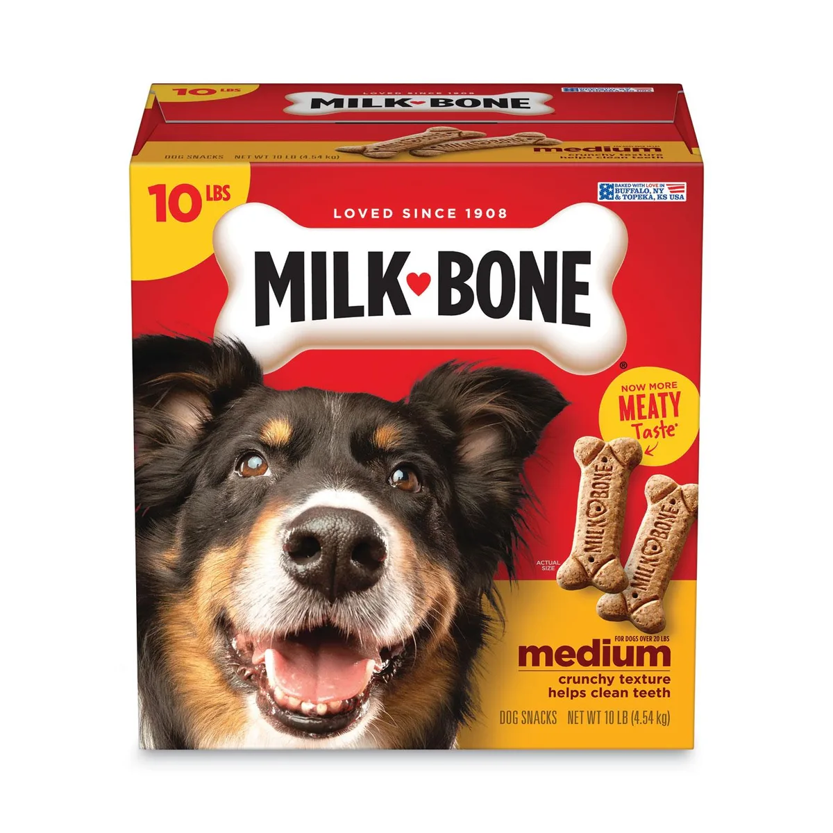A rectangular cardboard box containing ten pounds of beige crunchy dog biscuits