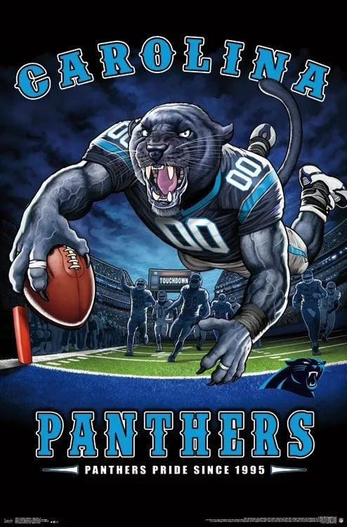 Carolina Panthers end zone poster print 22 x 34 inches