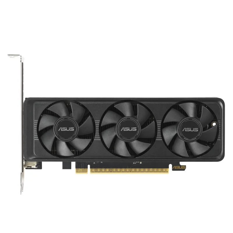 ASUS ASUS GeForce RTX 5060 LP BRK 8GB GDDR7 OC graphics card — product photo