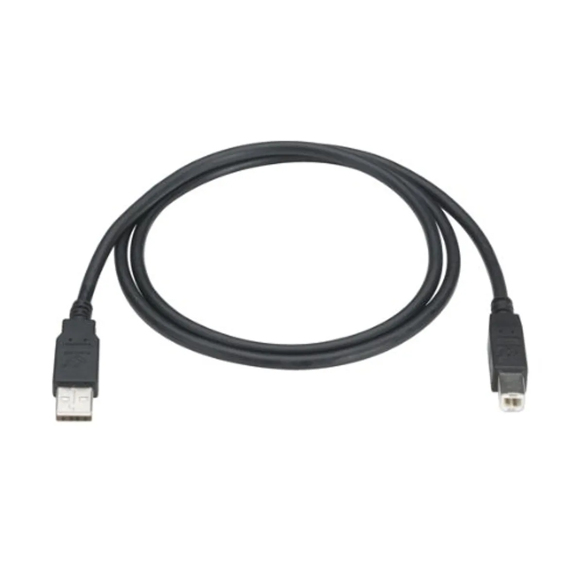 Black Box Corporation Black Box Corporation USB 2.0 Type A to Type B Cable 13 ft — product photo