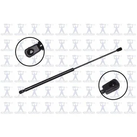 FCS Struts 86327 transparent lift support hood