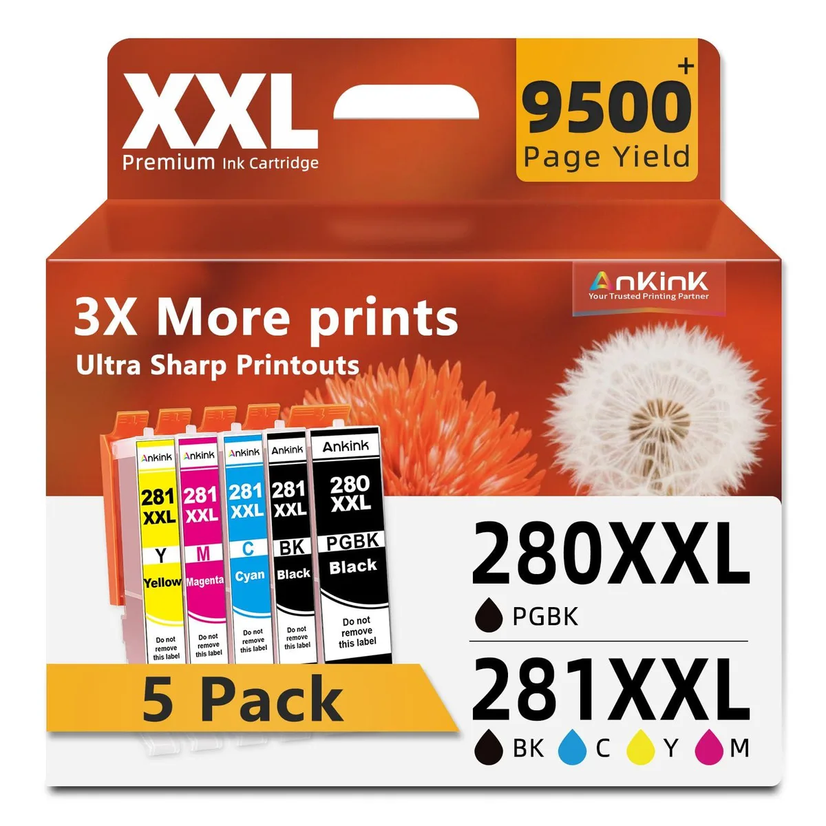 Five ink cartridges in black cyan magenta yellow and pigment black