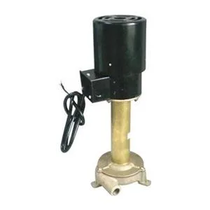 Dayton Dayton 4JPG4 Coolant Pump 1/25 HP 115V 1.3 Amp — product photo