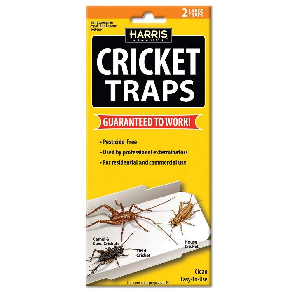 Two flat folded cardboard glue traps in a pack