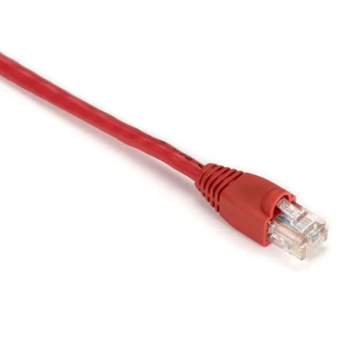 Black Box Corporation Black Box Corporation DNHEVNSL830007 network ethernet cable — product photo