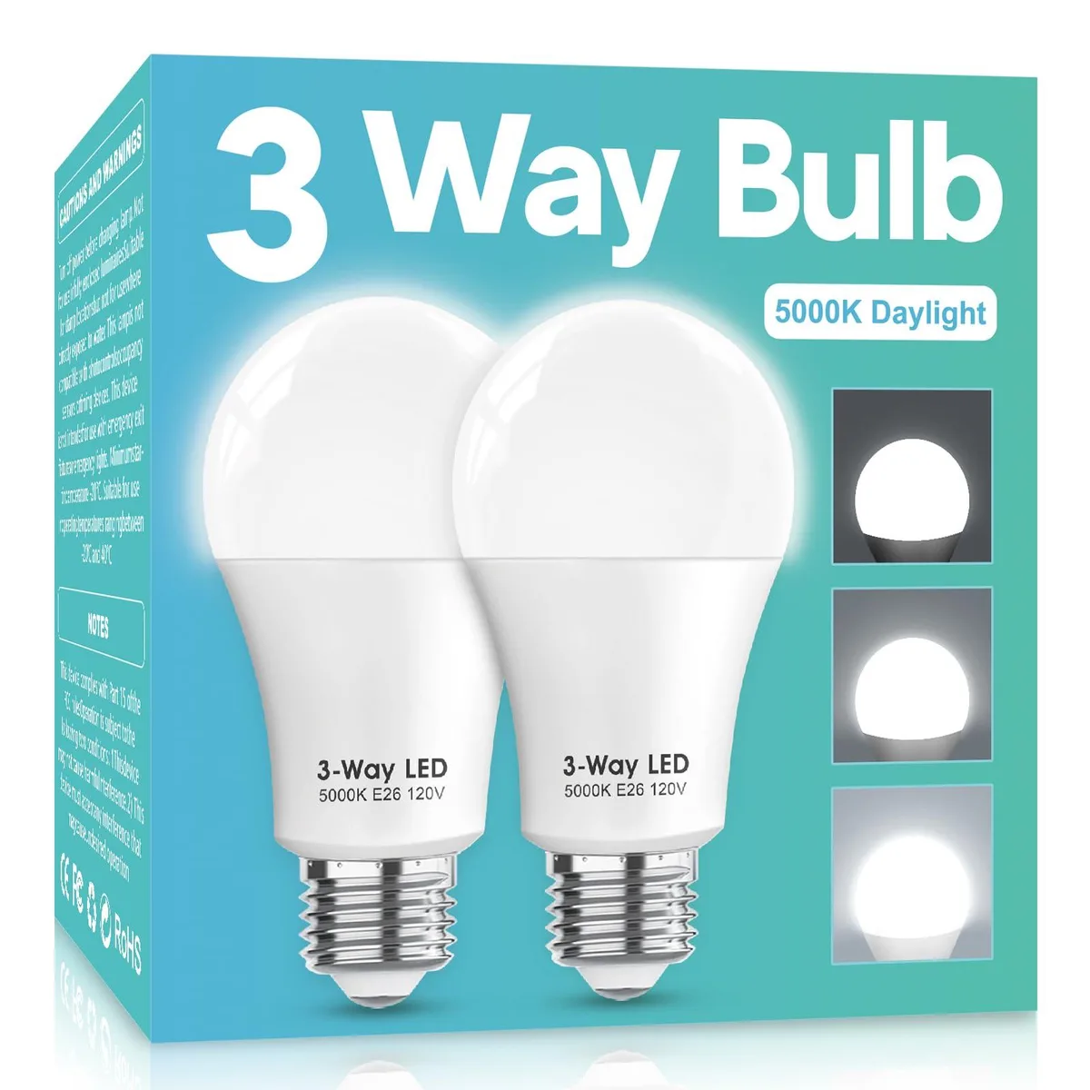 Two A19 LED bulbs with E26 bases daylight white finish