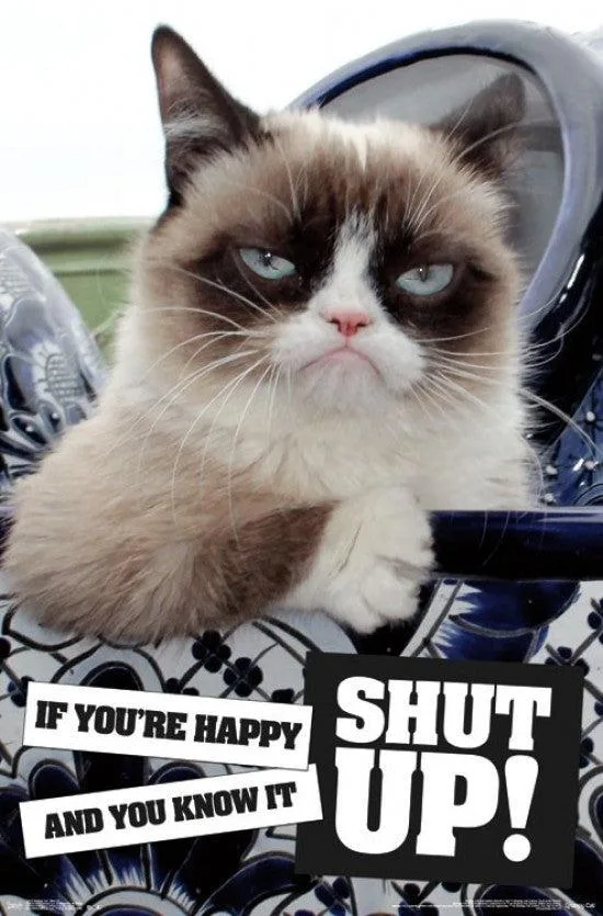 Rectangular poster print 22 by 34 inches showing Grumpy Cat with Shut Up text on white background
