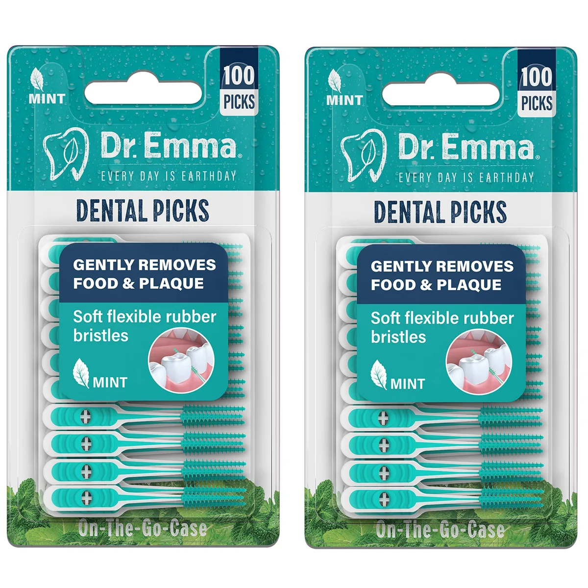 Two mint dental pick packs with portable cases