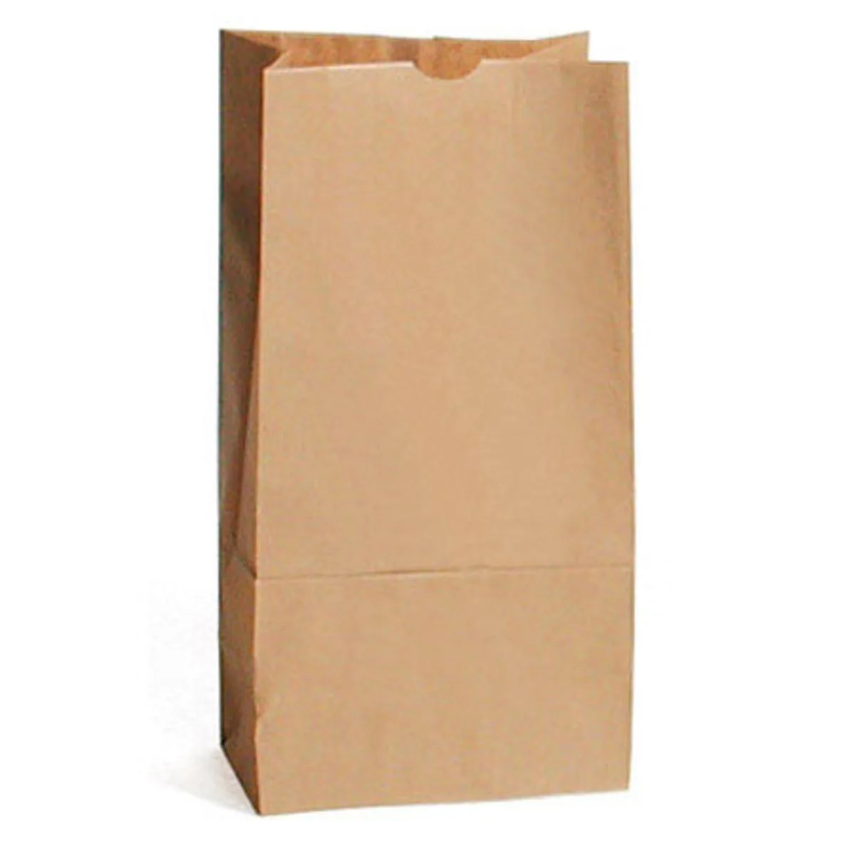 Sirchie Sirchie Blank Kraft Evidence Bag 7x4 1/2x13 3/4" 100-pack — product photo