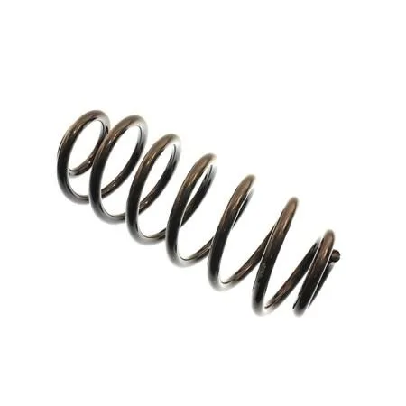 BILSTEIN BILSTEIN 199021 Coil Spring — product photo