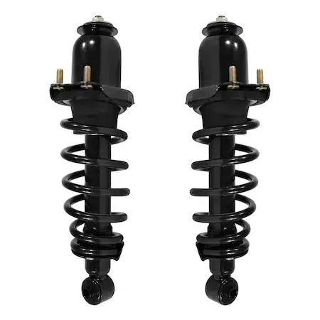 Pair of silver rear strut assemblies with coil springs and top mounts