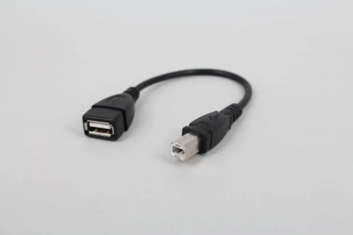 Ruth's sister Ruth's sister USB 2.0 Type A Female to USB B Male 50cm international power cord — product photo