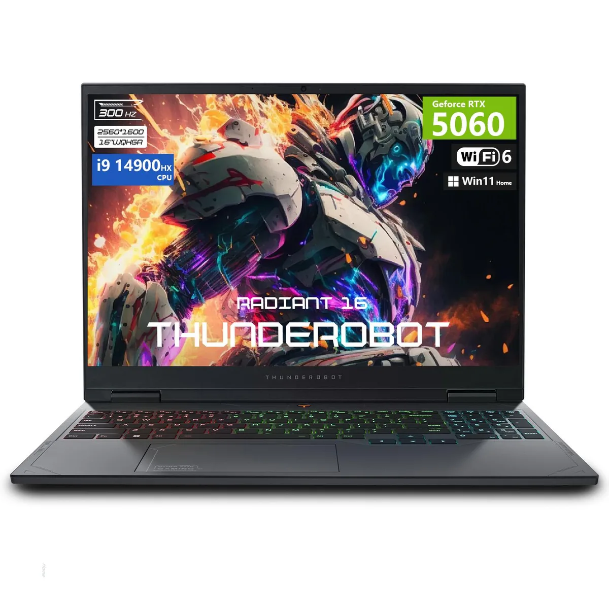 Thunderobot Thunderobot Radiant 16 gaming laptop 16" QHD+ 300Hz i9-14900HX RTX 5060 64GB DDR5 2TB SSD Gray — product photo