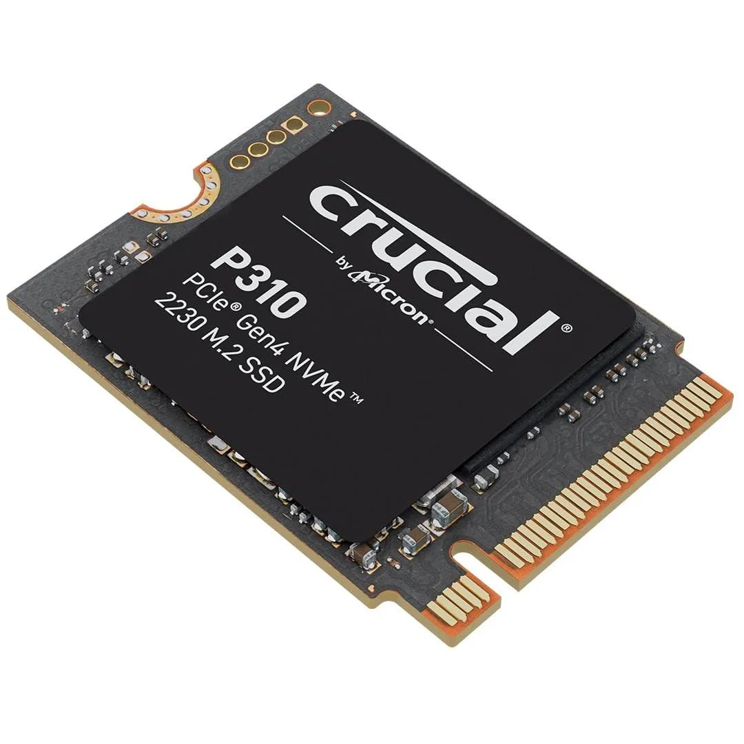 Crucial Crucial P310 1TB 2230 NVMe 2 in 1 accessory — product photo