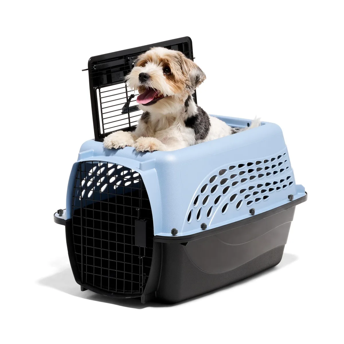 Blue plastic pet kennel with two doors and ventilation holes