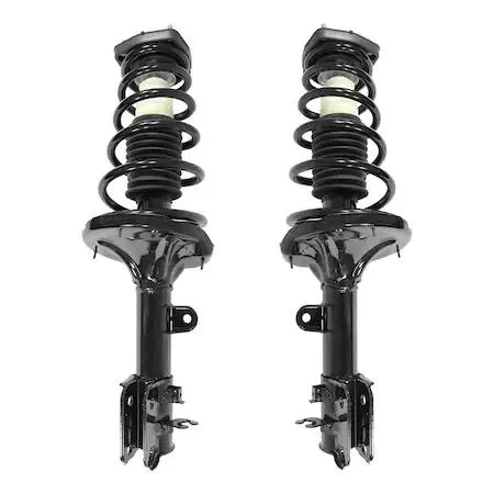 Pair of rear complete strut assemblies, metallic finish, ready to install
