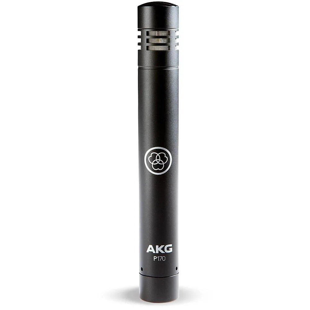 AKG ACOUSTICS AKG ACOUSTICS P170 Project Studio Condenser Microphone — product photo