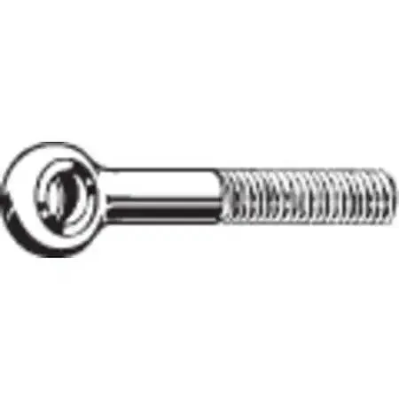 Zoro Select Zoro Select 16180.080.0090 Eye Bolt M8-1.25 22 mm Shank — product photo
