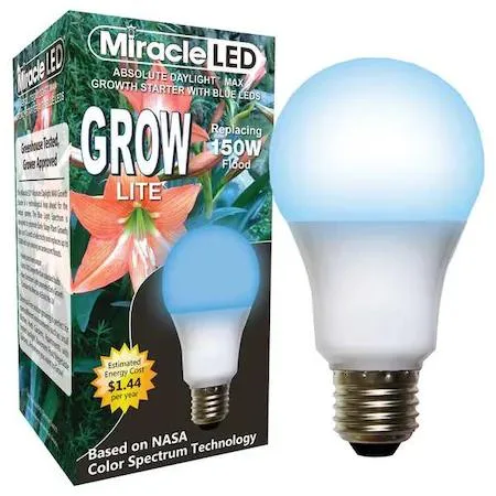 A21 frosted LED grow bulb with blue spectrum finish