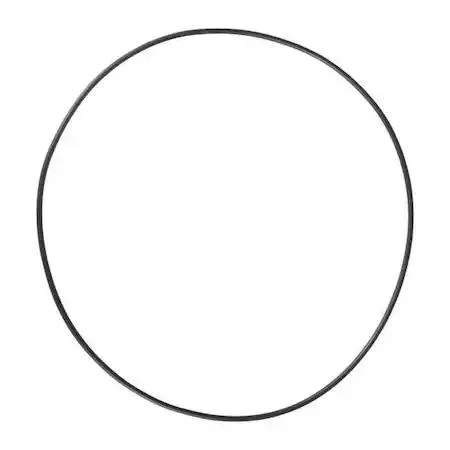 Dayton Dayton PP60079G Viton O-Ring Gasket — product photo