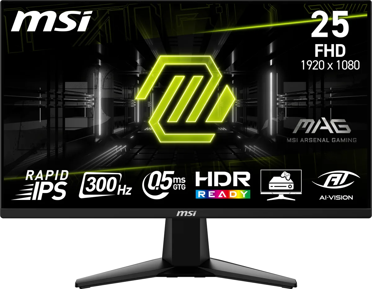 MSI MSI MAG 255XF 24.5" 300Hz gaming monitor — product photo