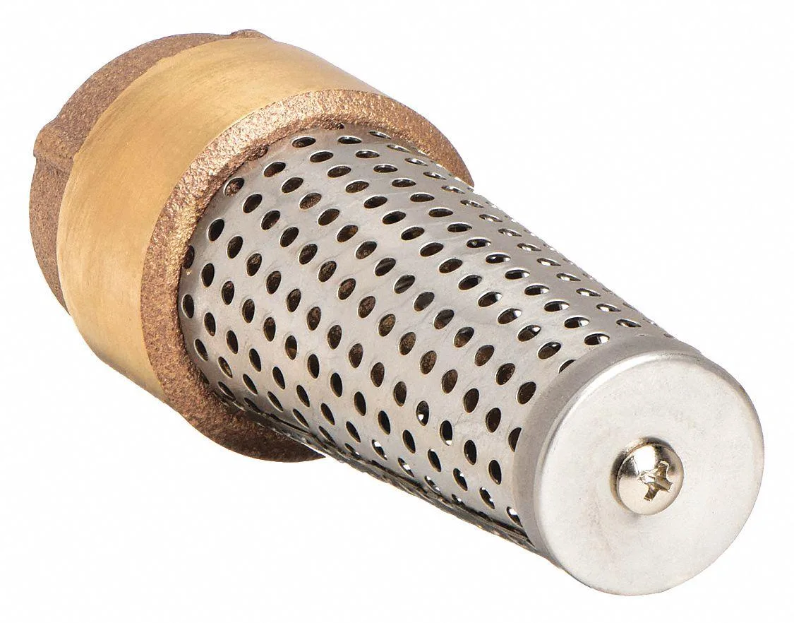 Campbell Campbell FV-5TLF 1-1/4" FNPT Low Lead Brass Spring Foot Valve bathware — product photo