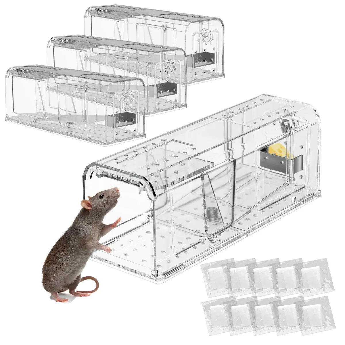 Four transparent plastic live-catch mouse traps with spring-loaded doors