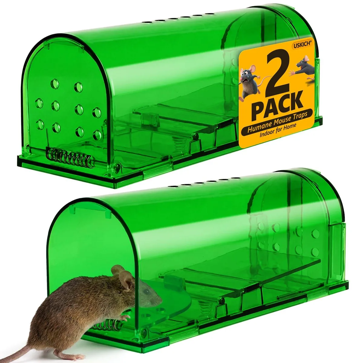 Two small rectangular plastic cage traps side by side