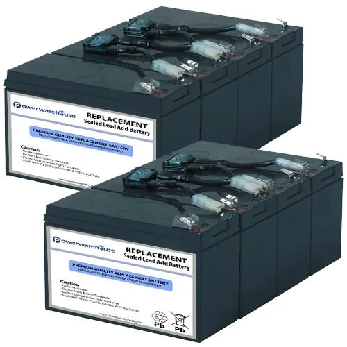 Two sealed 12V lead-acid battery cartridges in plastic cases