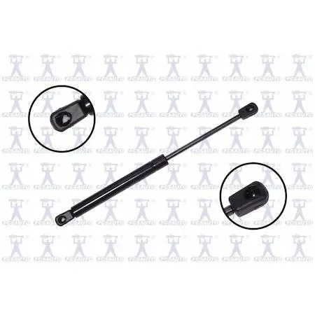 Transparent FCS Struts 84129 lift support cylinder with silver fittings