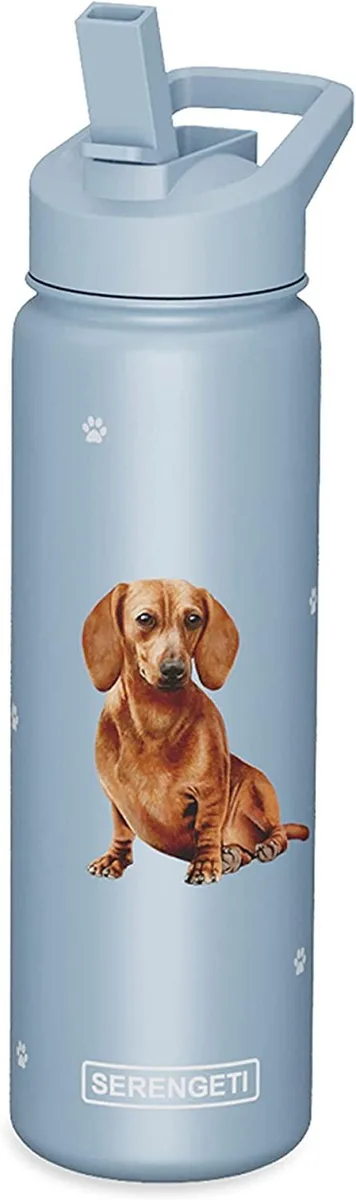 E &amp; S Imports E &amp; S Imports Red Dachshund 24 oz Stainless Steel Water Bottle — product photo