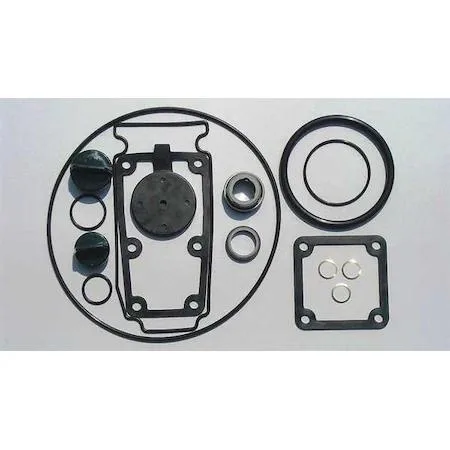 Zoro Select Buna seal kit for pump 11G238