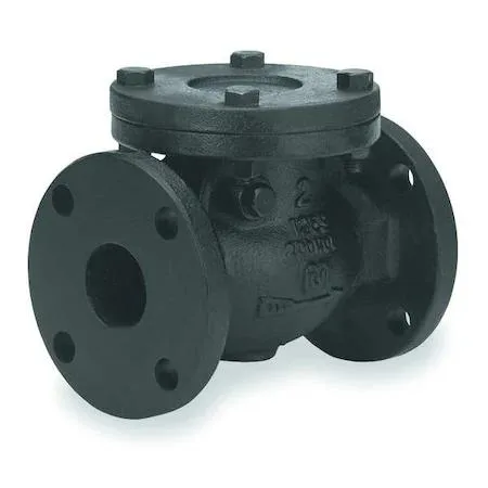 A 2-inch flanged cast iron swing check valve with bronze seat and chrome-cobalt seal