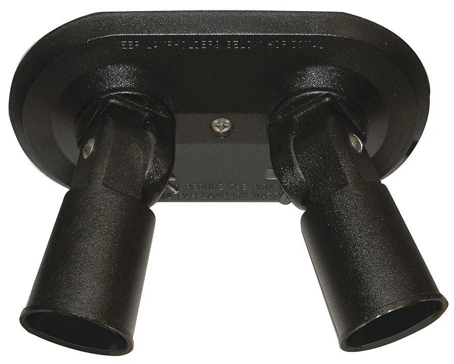 Black surface-mount light kit with two adjustable heads