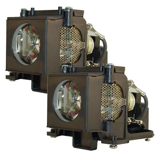 Two replacement projector lamps in clear packaging