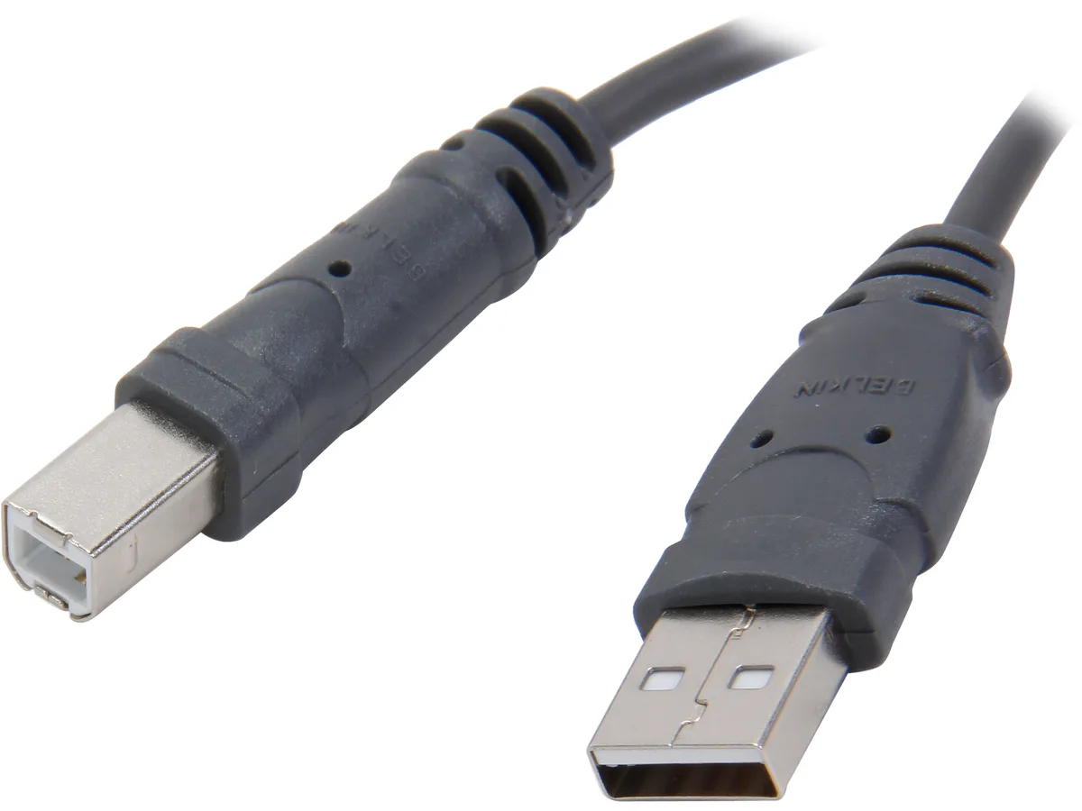 Belkin Belkin F3U133-06INCH USB 2.0 A to B cable 6 — product photo