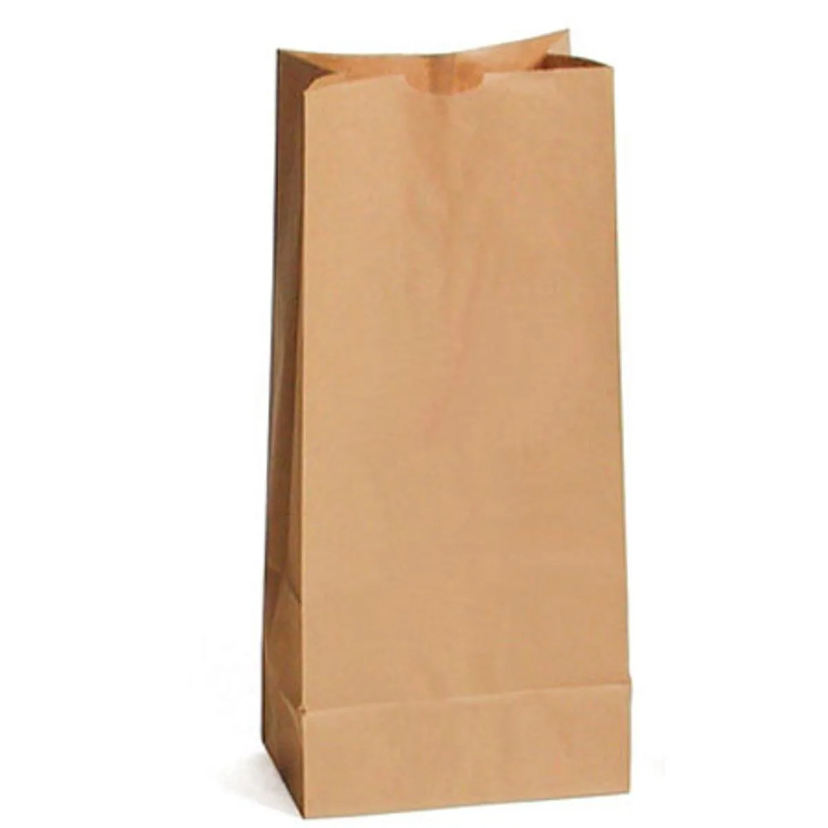 Sirchie Sirchie Blank Kraft Evidence Bag 8x5x18" Set of 100 — product photo