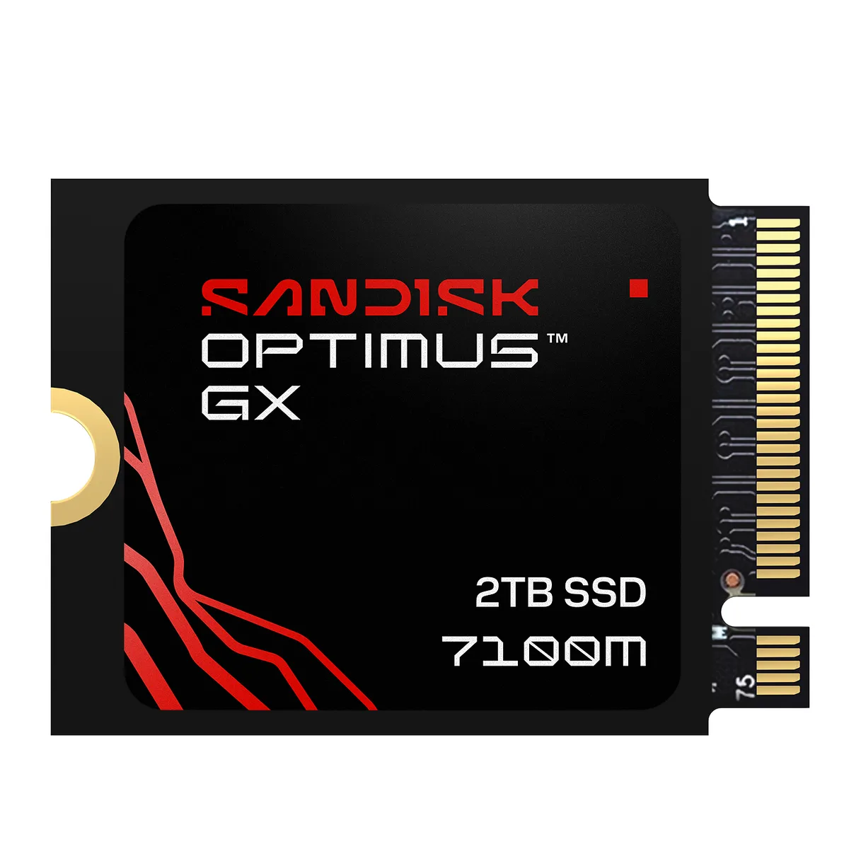 SanDisk SanDisk Optimus GX 7100M 2TB internal SSD SDSP71200TAT-000E0 — product photo