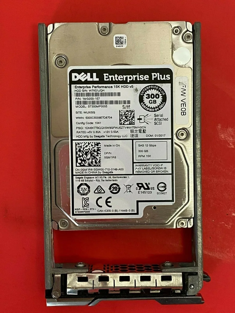 DELL DELL St300mp0005 300 GB 15K 12G SAS 2.5" internal hard drive — product photo